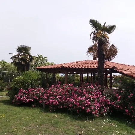 Anna Villa