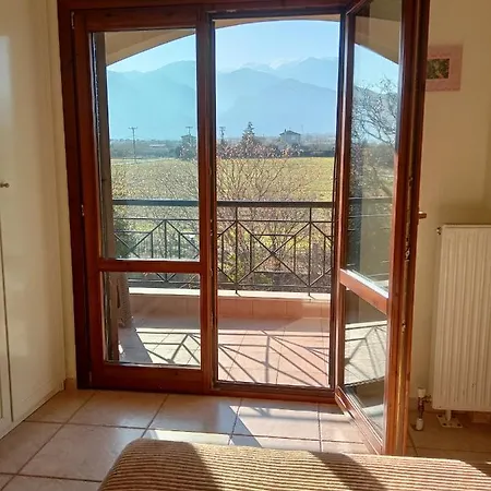 Anna * ليبتوكاريا