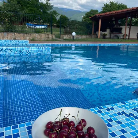 Anna * ليبتوكاريا