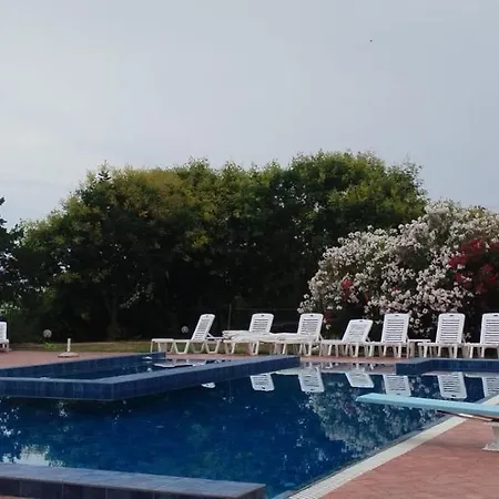 Anna ليبتوكاريا