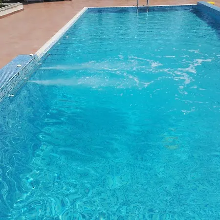 فيلة Anna ليبتوكاريا