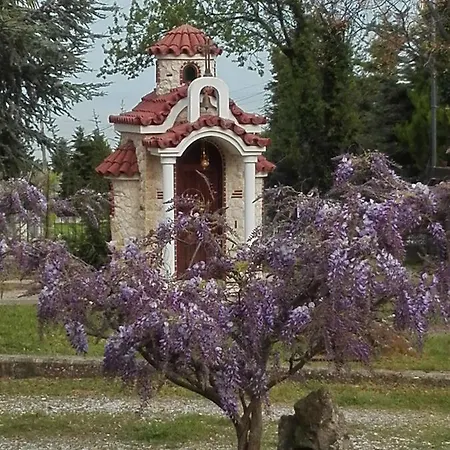 Anna Villa