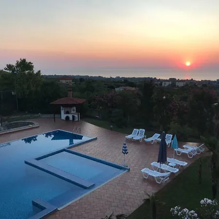 Anna * ليبتوكاريا