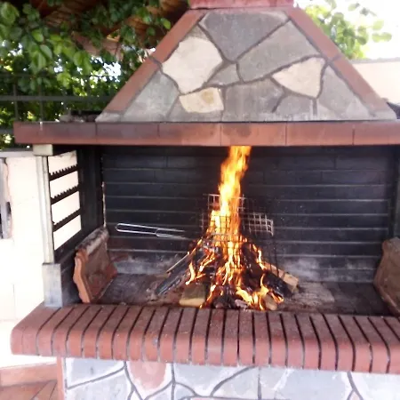 Anna فيلة ليبتوكاريا