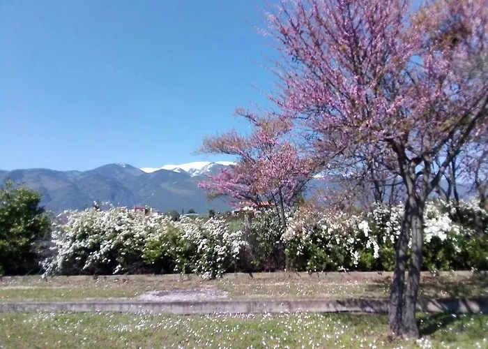 别墅 Anna 乐托卡亚