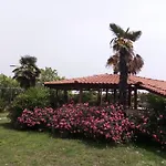 Anna Villa